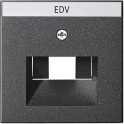 Gira Zentralplatte mit Beschriftungsfeld für RJ45-Anschlussdose 1- und 2-fach System 55 anthrazit matt (028428)