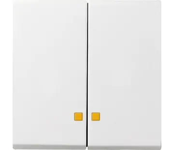 Gira Wippe 2-fach Kontrollfenster System 55 weiß glänzend (063103)