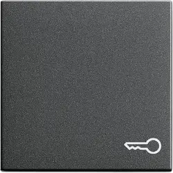 Gira Wippe symbol Tür System 55 anthrazit matt (028728)