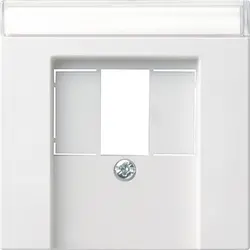 Gira Zentralplatte USB / Lautsprecher Beschriftungsfeld System 55 weiß matt (087627)