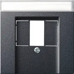 Gira Zentralplatte USB / Lautsprecher Beschriftungsfeld System 55 anthrazit matt (087628)