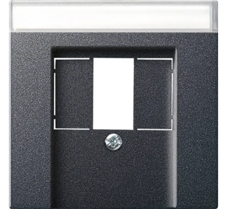 Zentralplatte USB / Lautsprecher Beschriftungsfeld System 55 anthrazit matt (087628)