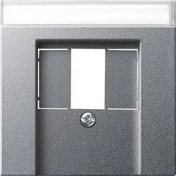 Gira Zentralplatte USB / Lautsprecher Beschriftungsfeld System 55 aluminium matt (087626)