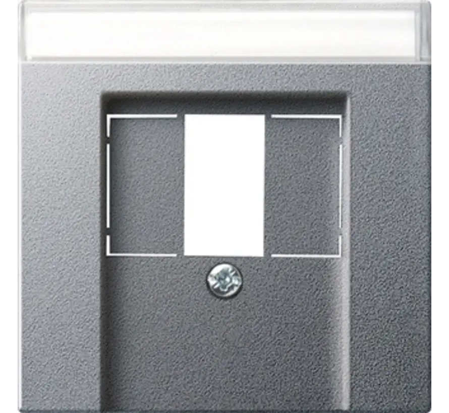 Zentralplatte USB / Lautsprecher Beschriftungsfeld System 55 aluminium matt (087626)