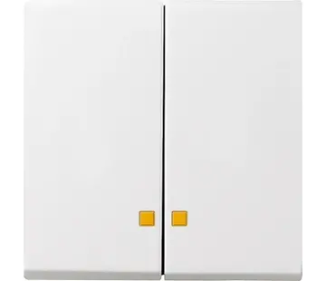 Gira Wippe 2-fach Kontrollfenster System 55 weiß matt (063127)