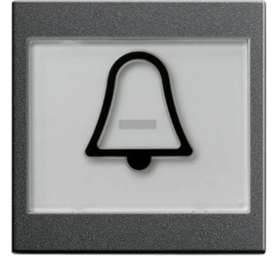 Wippe Beschriftungsfeld groß symbol Klingel System 55 anthrazit matt (021728)