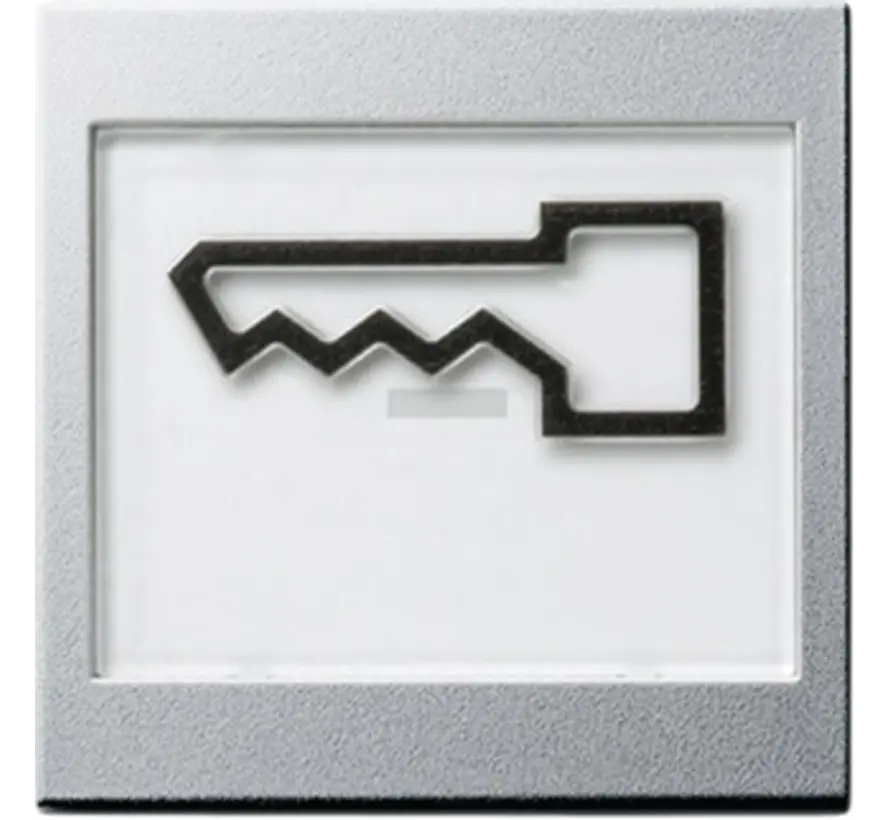 Wippe Beschriftungsfeld groß symbol Tür System 55 aluminium matt (021826)