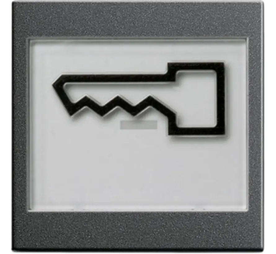 Wippe Beschriftungsfeld groß symbol Tür System 55 anthrazit matt (021828)