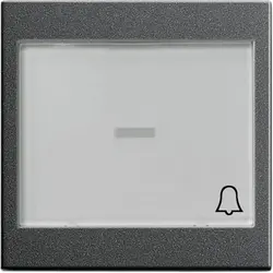 Gira Wippe großes Kontrollfenster Beschriftungsfeld symbol Klingel System 55 anthrazit matt (067928)