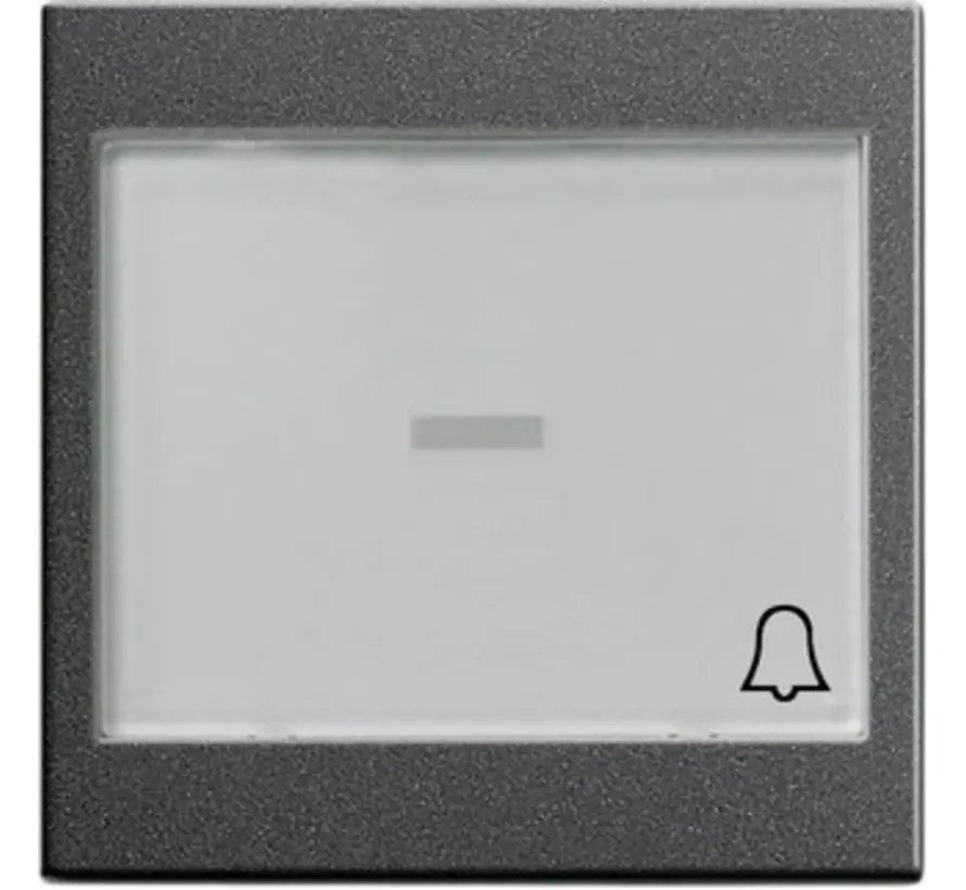 Wippe großes Kontrollfenster Beschriftungsfeld symbol Klingel System 55 anthrazit matt (067928)