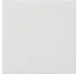 Dimmerbedienaufsatz System 3000 Tastdimmer System 55 weiß glänzend (536003)