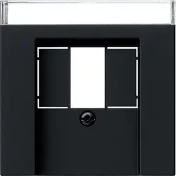Gira Zentralplatte USB / Lautsprecher Beschriftungsfeld System 55 schwarz matt (0876005)