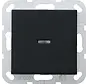 Tastschalter Kontrollschalter mit Glimmlampe 1-polig System 55 schwarz matt (0136005)