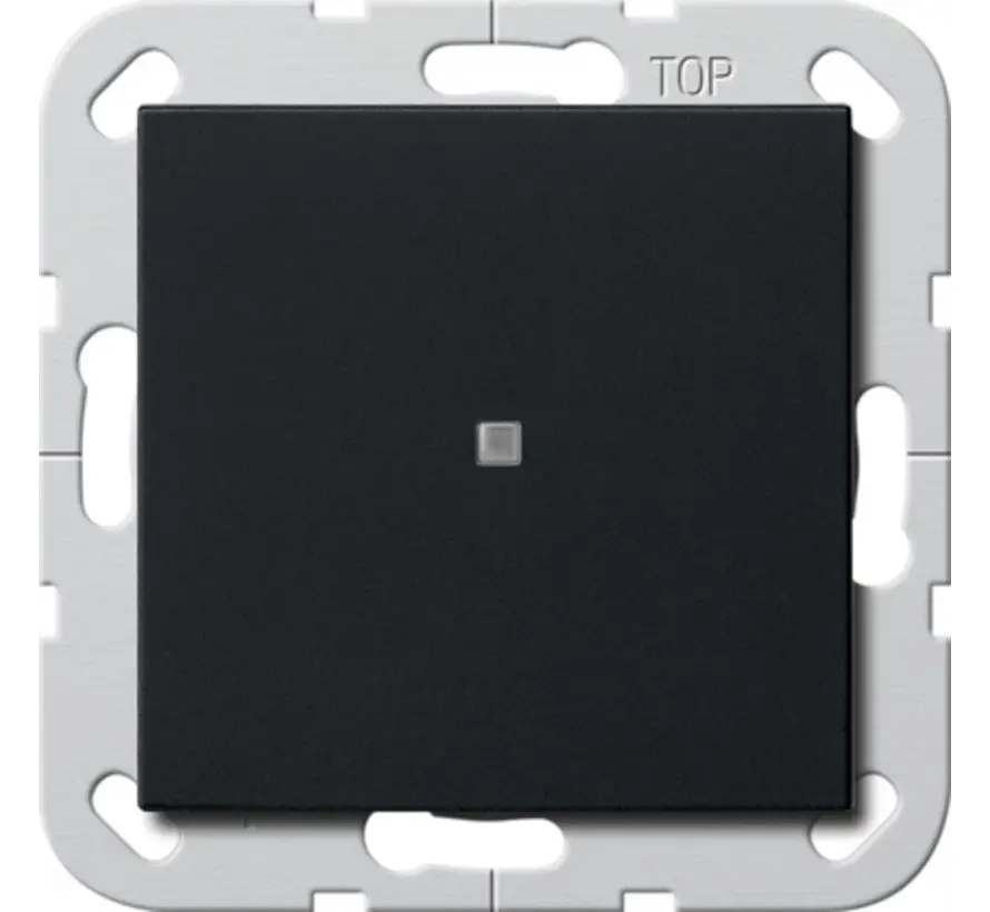 Tastschalter gerade stehender Wippe Kontrollschalter mit Glimmlampe 1-polig System 55 schwarz matt (0124005)
