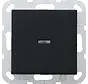 Tastschalter Kontrollschalter mit Glimmlampe 2-polig System 55 schwarz matt (0122005)