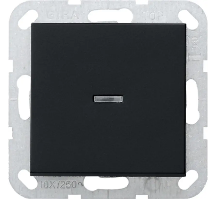 Tastschalter Kontrollschalter mit Glimmlampe 2-polig System 55 schwarz matt (0122005)