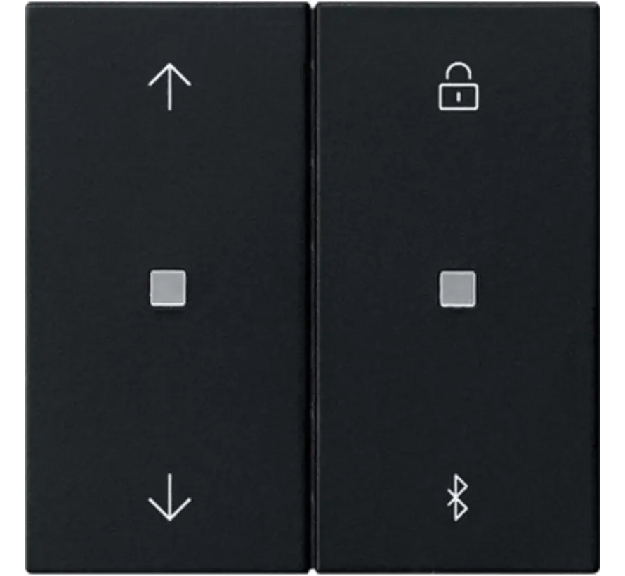 Bluetooth Bedienaufsatz Pfeilsymbole System 3000 System 55 schwarz matt (5367005)