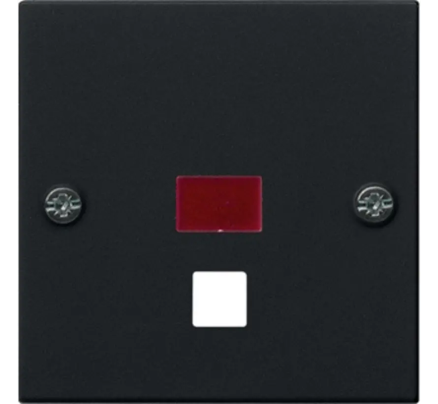 Zentralplatte Zugschalter Kontrollfenster System 55 schwarz matt (0638005)