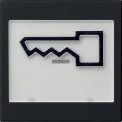 Gira Wippe Beschriftungsfeld groß symbol Tür System 55 schwarz matt (0218005)