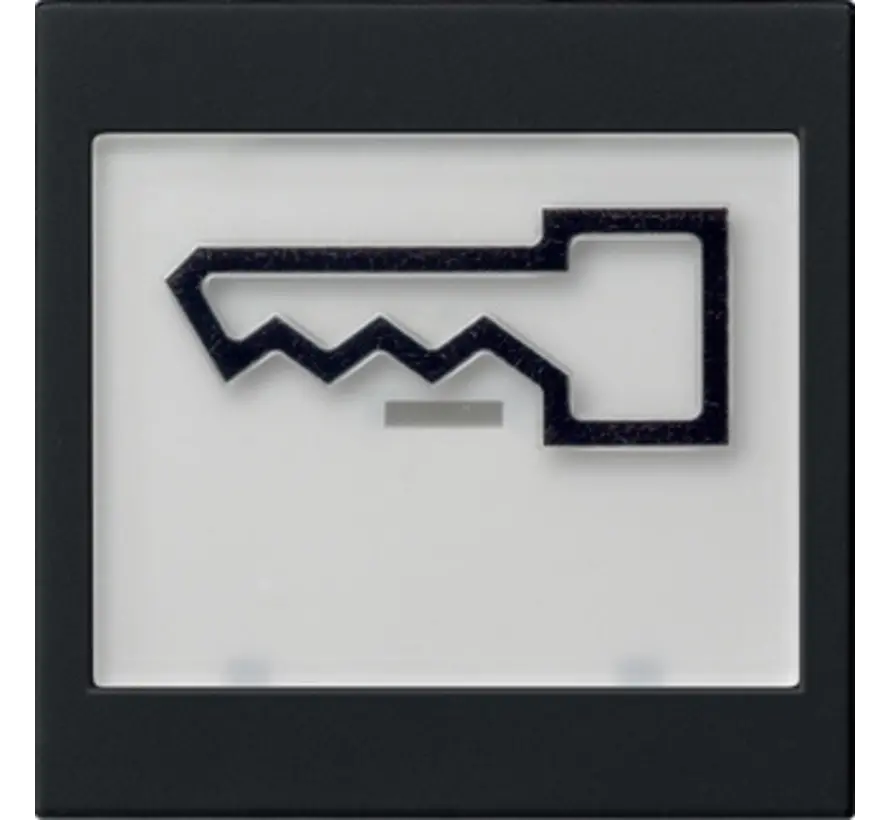 Wippe Beschriftungsfeld groß symbol Tür System 55 schwarz matt (0218005)