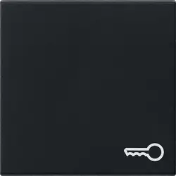 Gira Wippe symbol Tür System 55 schwarz matt (0287005)