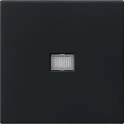 Gira Wippe großes Kontrollfenster System 55 schwarz matt (0298005)
