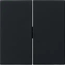Gira Wippe 2-fach System 55 schwarz matt (0295005)