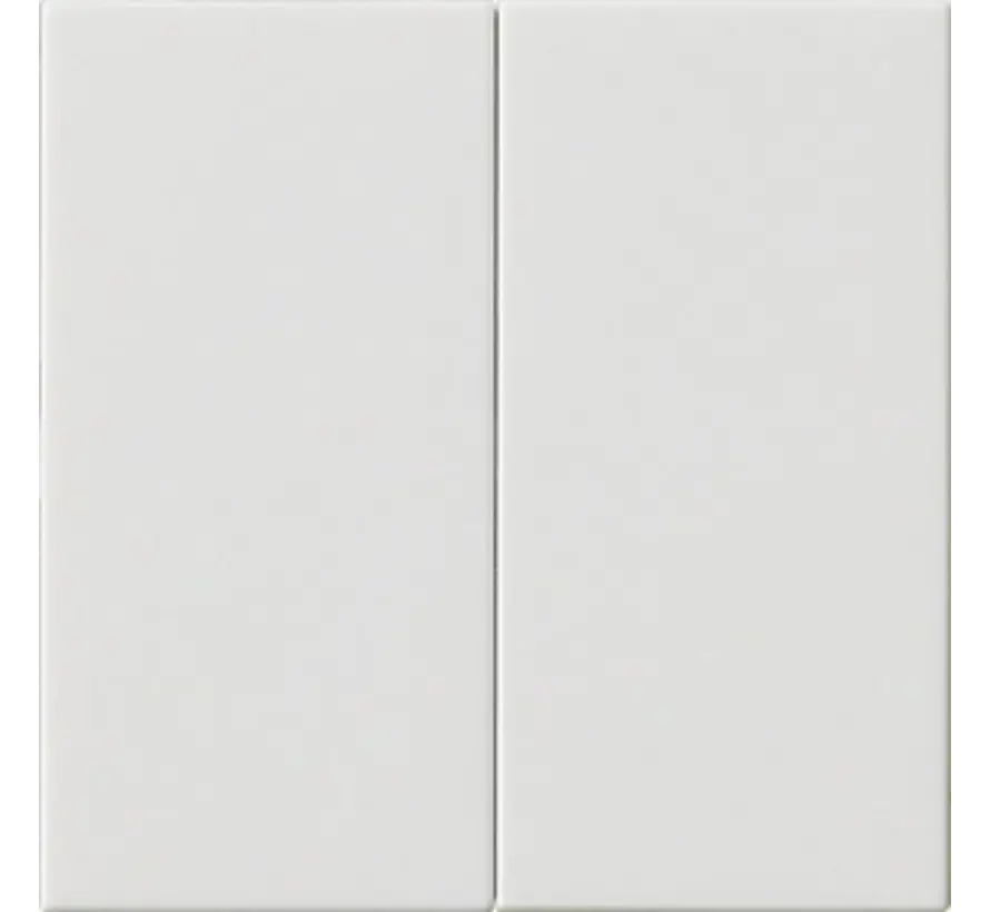 System 3000 Bedienaufsatz 2fach für Tastdimmer 2fach System 55 weiß glänzend (536203)