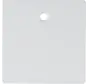 Zentralplatte Zugschalter Q1/Q3/Q7 weiß (11466089)