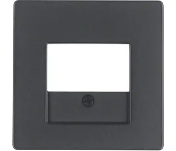 Berker Zentralplatte USB / Lautsprecher Q1/Q3/Q7 anthrazit (10336086)