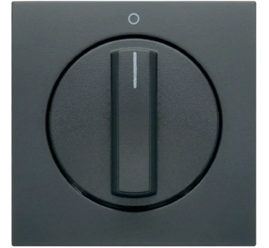 Drehknopf für Ein/Aus-Drehschalter mit Aufdruck 0-1 S1/B3/B7 anthrazit matt (11501606)