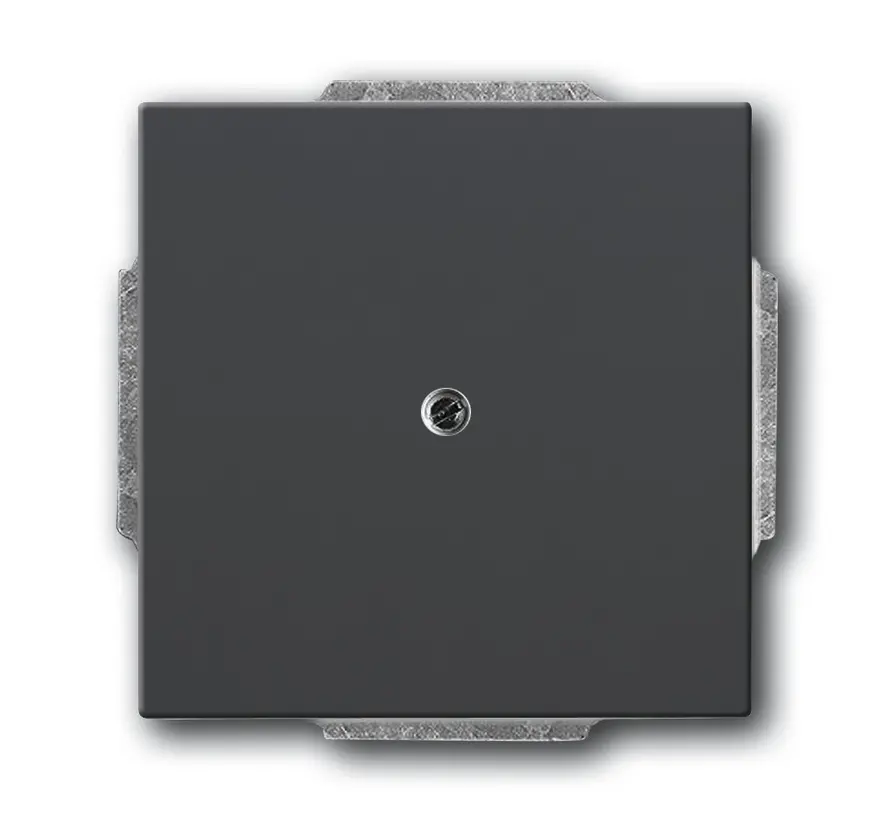 Zentralplatte Leitungsauslass mit Tragplatte schwarz matt (1749-885)