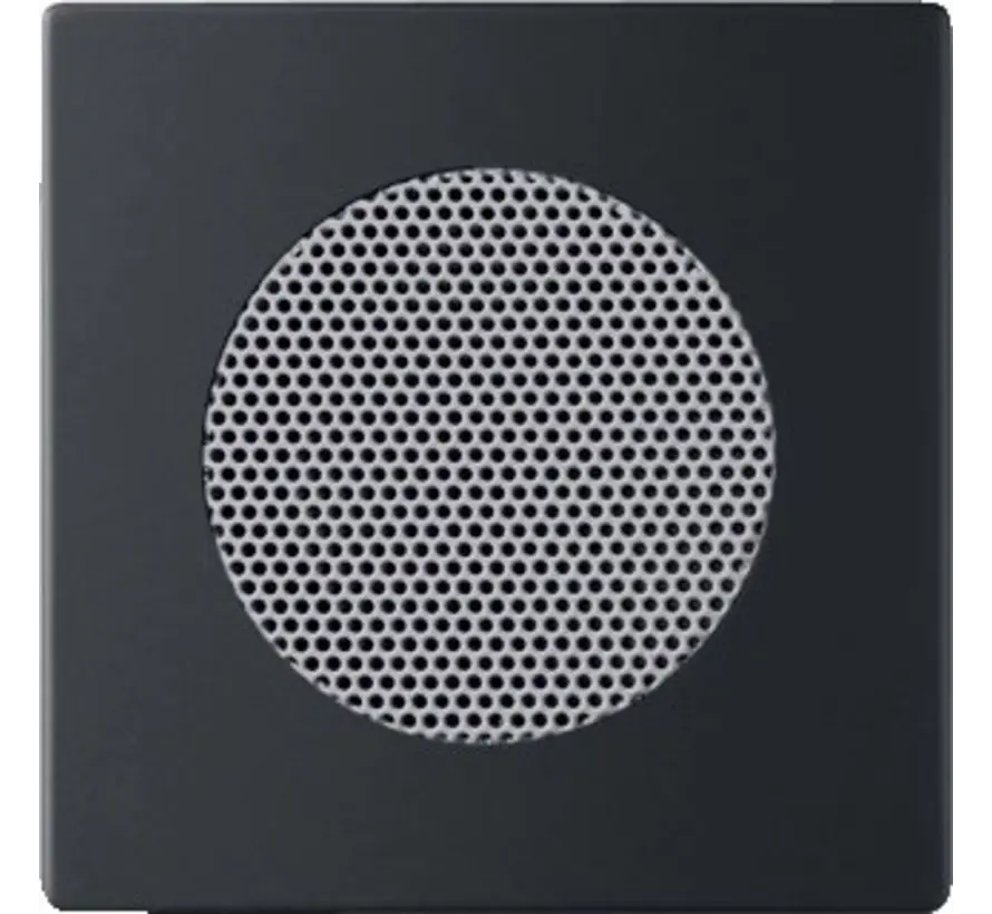 Zentralplatte für Lautsprecher schwarz matt (8253-885)