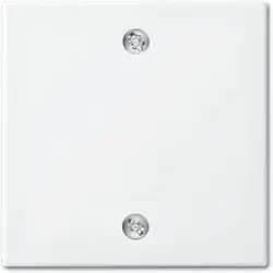 Busch-Jaeger Zentralscheibe für Zugschalter Balance SI weiß glänzend (1796-914)