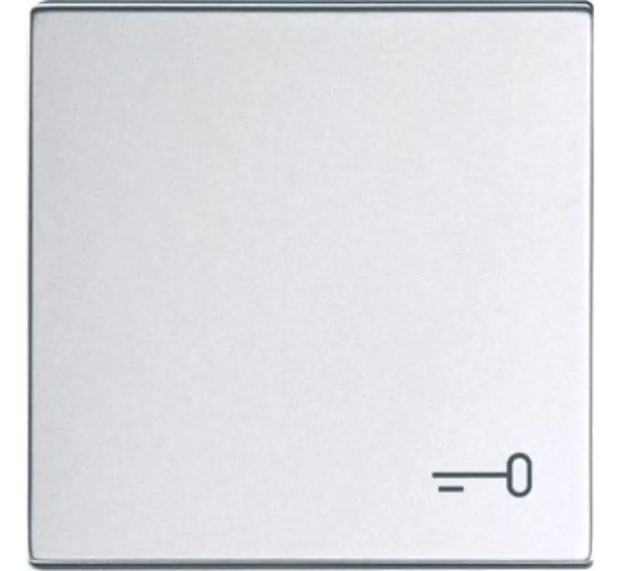 Wippe symbol Tür Future Linear alusilber (2520 TR-83)