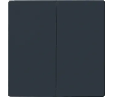 Busch-Jaeger Friends of Hue Wippe 2-fach Future Linear Anthrazit glänzend (6736 FoH-81)