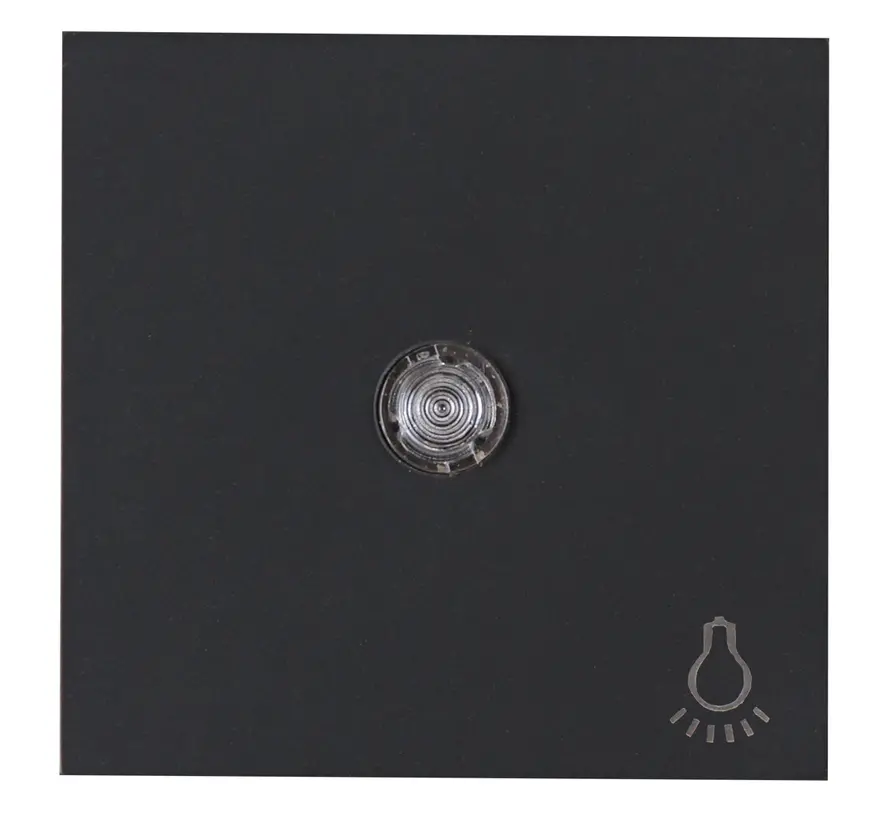 Wippe Kontrollfenster symbol Licht HK07 Athenis anthrazit (490446001)
