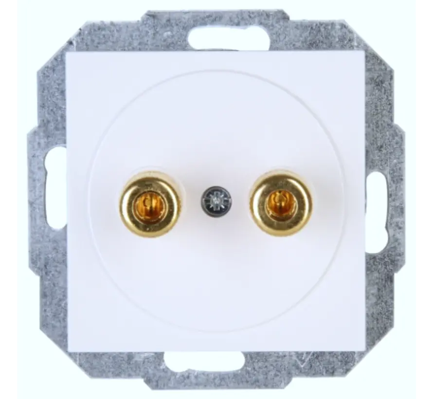 Zentralplatte mit Lautsprecher-Steckverbindern HK07 Athenis arktisweiß glänzend