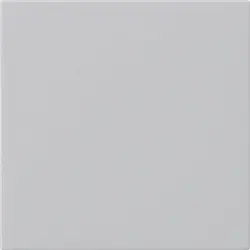 Gira Ersatzwippe für System 3000 Bedienaufsatz System 55 grau matt (5372015)