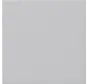 Ersatzwippe für System 3000 Bedienaufsatz System 55 grau matt (5372015)