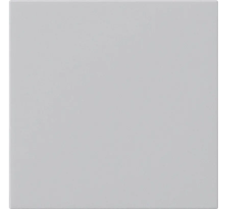 Ersatzwippe für System 3000 Bedienaufsatz System 55 grau matt (5372015)