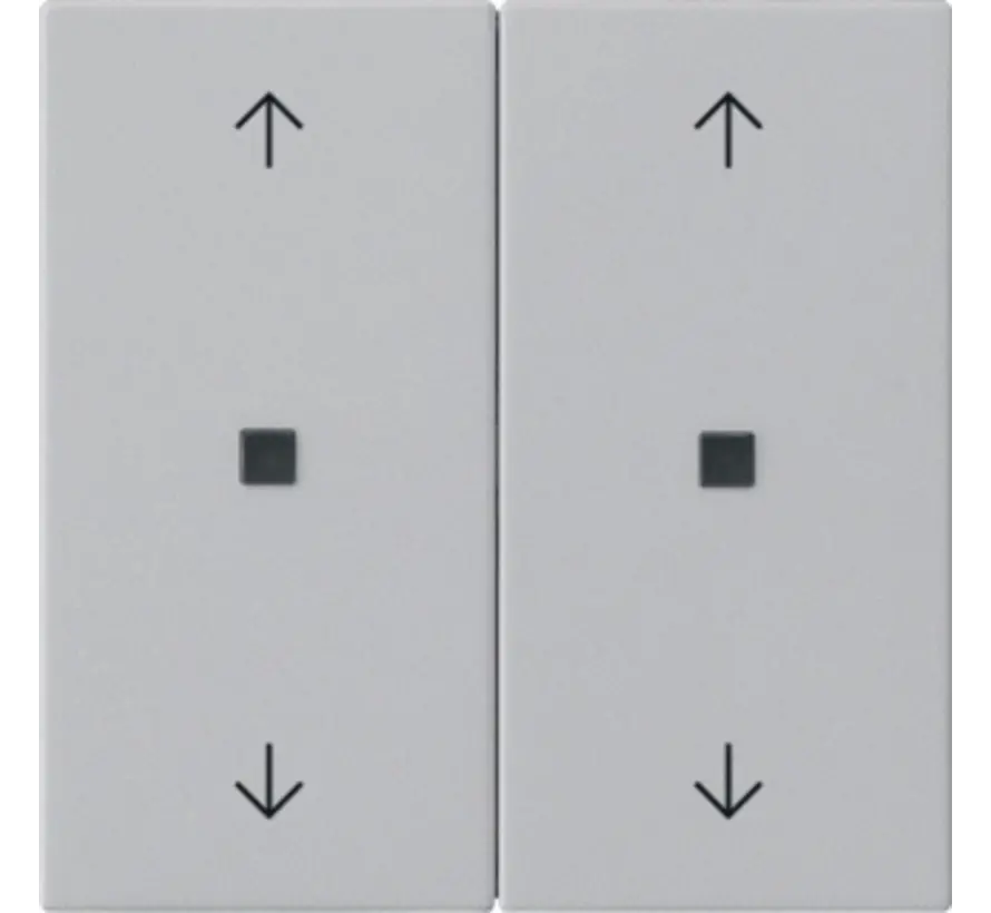 2-fach Ersatzwippe Kontrollfenster pfeilsymbole für System 3000 Bedienaufsatz System 55 grau matt (5386015)