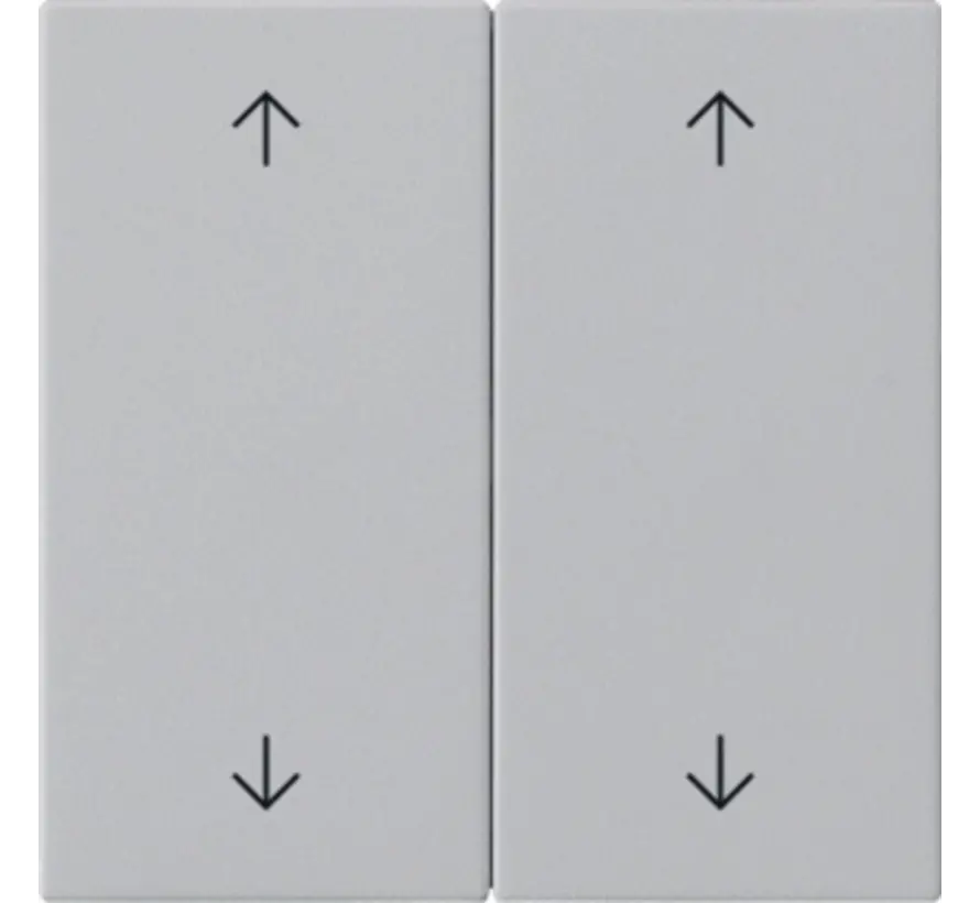 2-fach Ersatzwippe pfeilsymbole für System 3000 Bedienaufsatz System 55 grau matt (5387015)