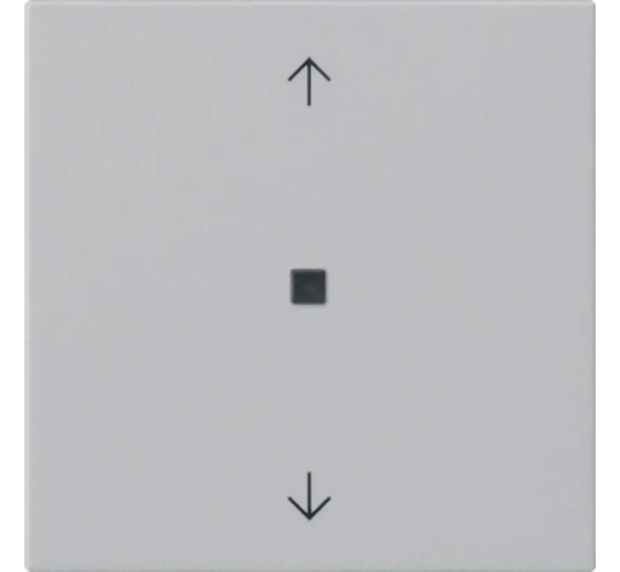 Ersatzwippe Kontrollfenster pfeilsymbole für System 3000 Bedienaufsatz System 55 grau matt (5388015)