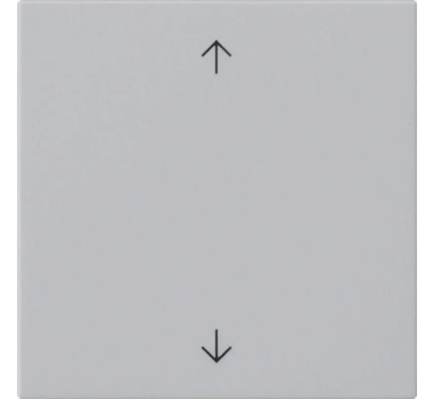Ersatzwippe pfeilsymbole für System 3000 Bedienaufsatz System 55 grau matt (5389015)
