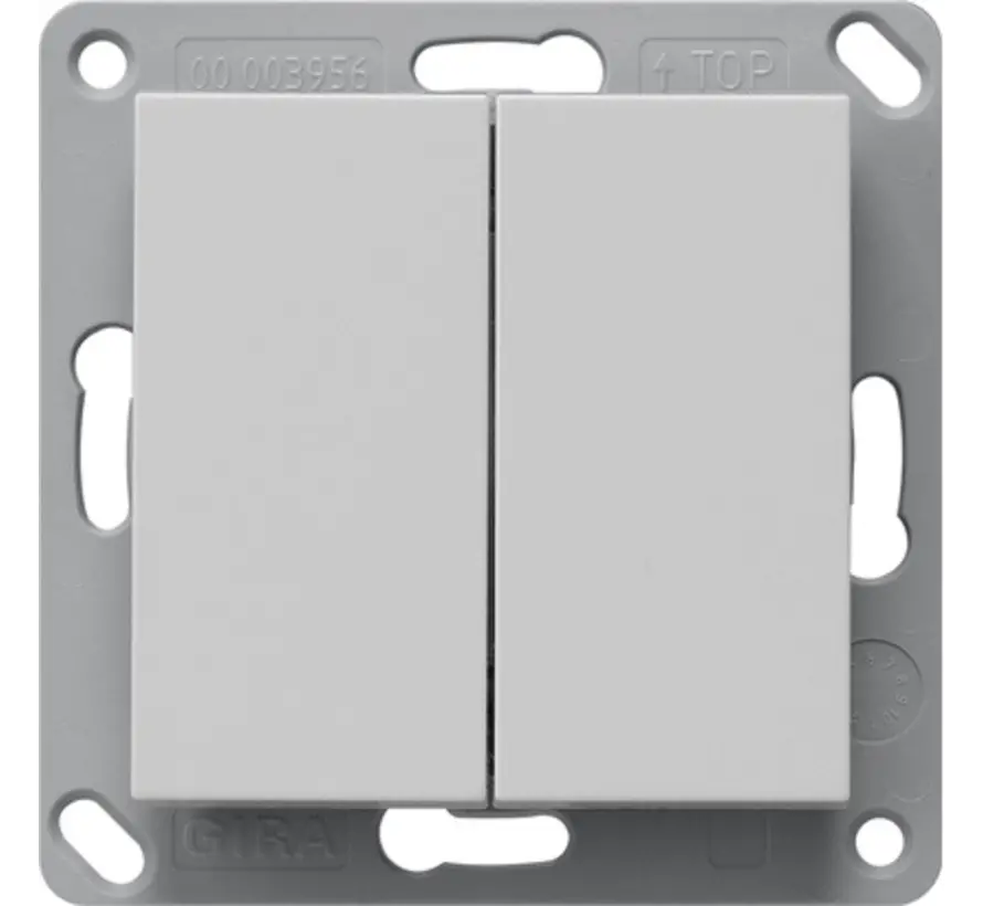 EnOcean Funk Wandsender 2fach System 55 grau matt (2422015)