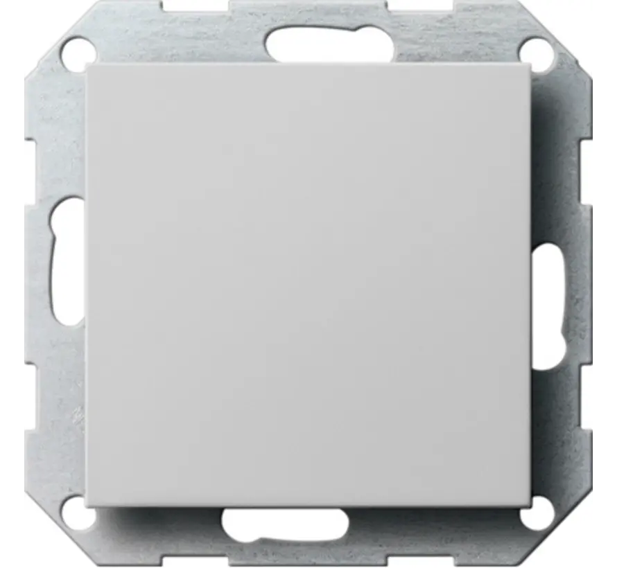 Blindabdeckung mit Tragring System 55 grau matt (0268015)