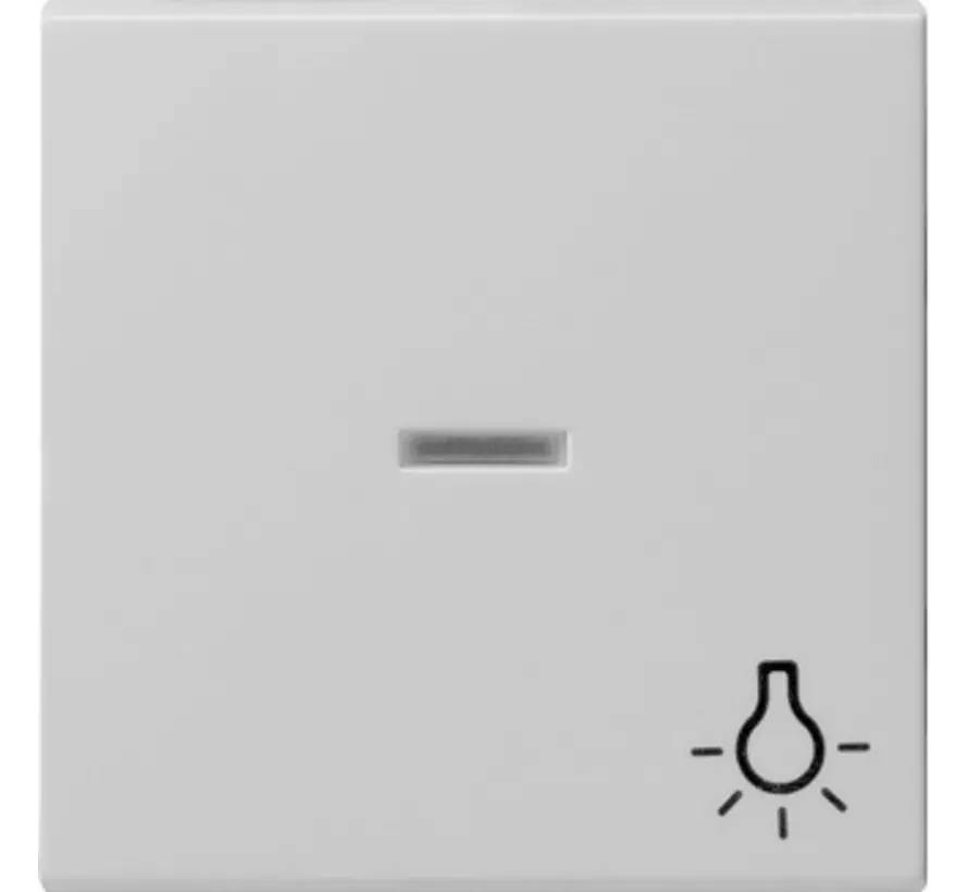 wippe Kontrollfenster symbol Licht System 55 grau matt (0674015)