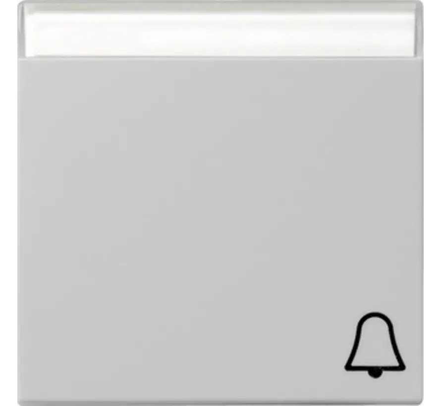 wippe Beschriftungsfeld symbol Klingel System 55 grau matt (0673015)