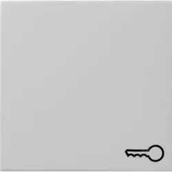 Gira wippe symbol Tür System 55 grau matt (0287015)